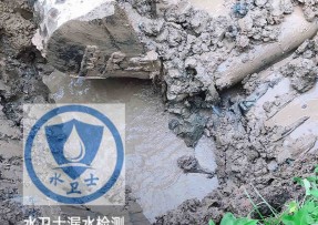 坪山区水管漏水检测公司5
